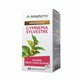 ARKOPHARMA GYMNEMA SYLVESTRE GLYCEMIE REDUIT L'ENVIE DE SUCRE 45CP