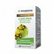 ARKOPHARMA-Garcinia-45-gélules