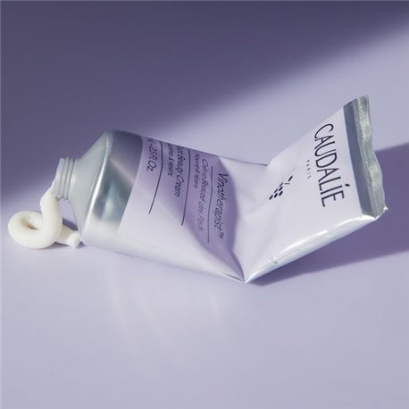 GUIGOZ Expert AR 1 de 0 à 12 mois 800g GUIGOZ Expert AR 1 de 0 à 12 mois 800g