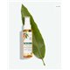 KLORANE HUILE A LA MANGUE NUTRITION-CHEVEUX SEC 100ML