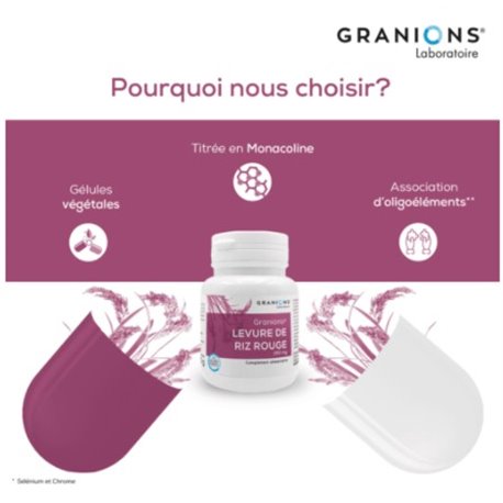 Sanodiane peigne façon écaille + sous étui Sanodiane peigne façon écaille + sous étui