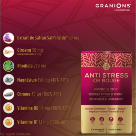 SOLENS Gommes eucalyptus sans sucres 100g SOLENS Gommes eucalyptus sans sucres 100g