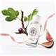 ROGER & GALLET FLEUR DE FIGUIER EAU PARFUMEE BIENFAISANTE 100ML