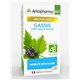 ARKOPHARMA CASSIS BIO MOBILITE ARTICULAIRE 45 GELULES