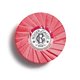 ROGER & GALLET SAVON PARFUME GINGEMBRE ROUGE 100G