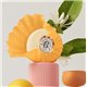 ROGER & GALLET SAVON PARFUME BOIS D'ORANGE 100G