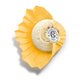 ROGER & GALLET COFFRET BOIS D'ORANGE 3X 100G